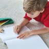 Набор цветных карандашей Pencilvania Mini, крафт