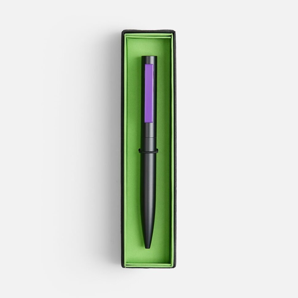 Ручка шариковая Inkolor в футляре, черная с фиолетовым